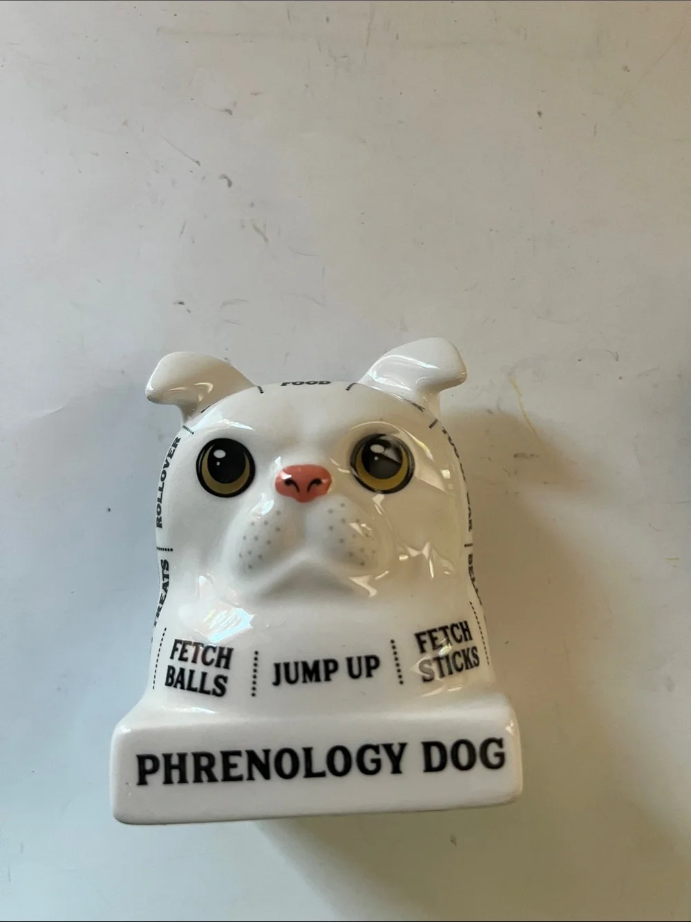 Dog lover accessories- Dog Phrenology, leash and Westie Xmas ornament